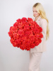 БУКЕТ 51 КРАСНАЯ ФРАНЦУЗСКАЯ РОЗА БУКЕТ 51 КРАСНАЯ ФРАНЦУЗСКАЯ РОЗА