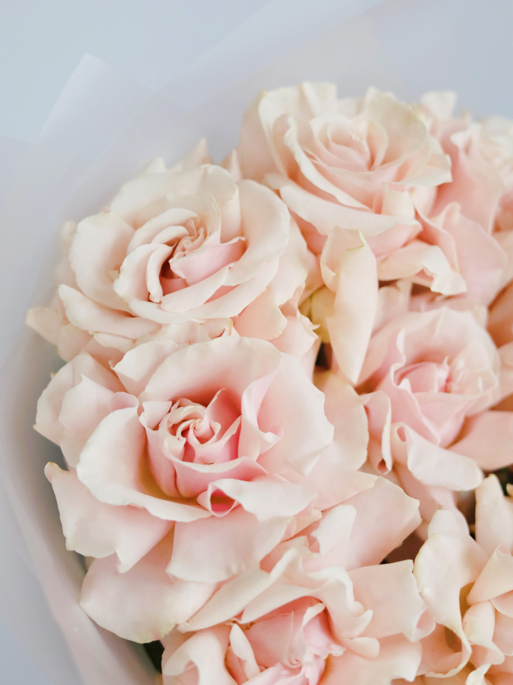 БУКЕТ 9 ФРАНЦУЗСКИХ РОЗА PINK MONDIAL БУКЕТ 9 ФРАНЦУЗСКИХ РОЗА PINK MONDIAL