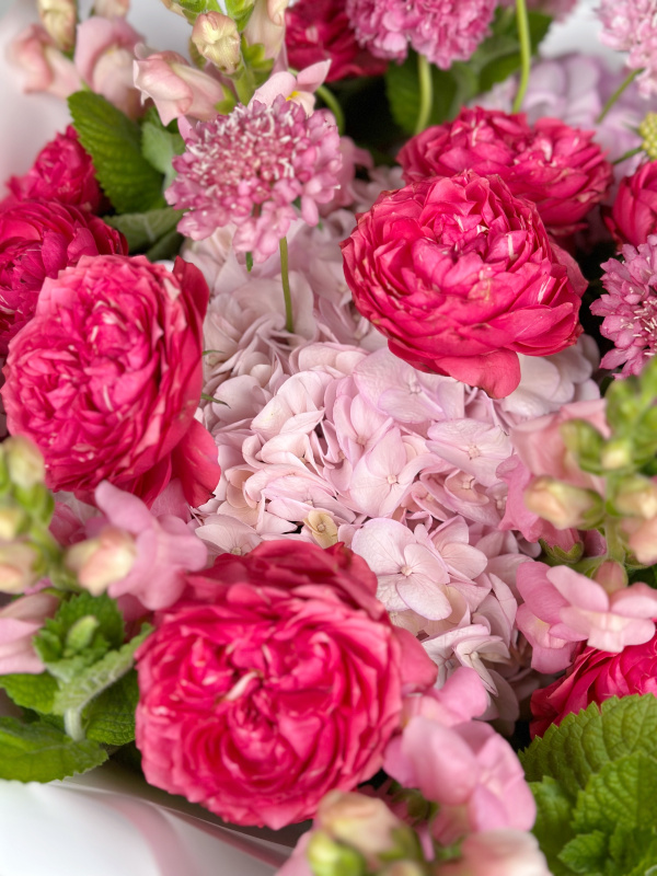 БОЛЬШОЙ БУКЕТ С ГОРТЕНЗИЕЙ И ПИОНОВИДНОЙ РОЗОЙ БОЛЬШОЙ БУКЕТ С ГОРТЕНЗИЕЙ И ПИОНОВИДНОЙ РОЗОЙ