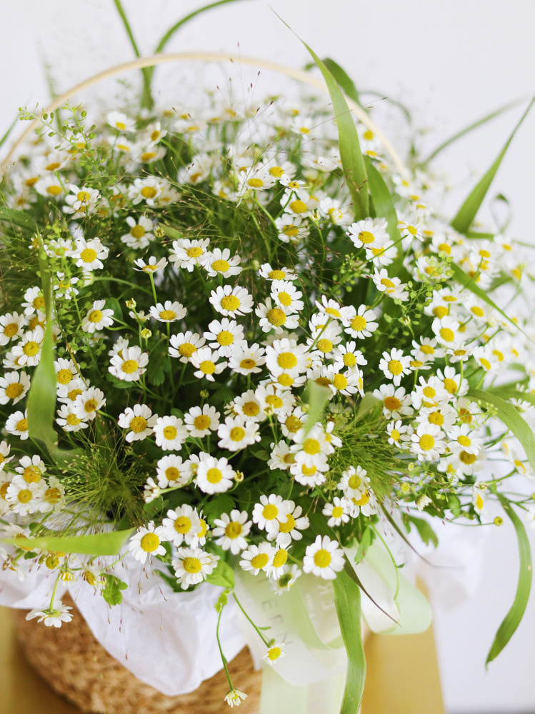 КОРЗИНА С РОМАШКОЙ И ЗЛАКАМИ КОРЗИНА С РОМАШКОЙ И ЗЛАКАМИ