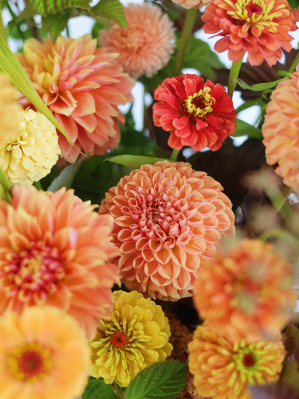 БОЛЬШАЯ КОРЗИНА С ГЕОРГИНАМИ И ДРУГИМИ ЛЕТНИМИ ЦВЕТАМИ БОЛЬШАЯ КОРЗИНА С ГЕОРГИНАМИ И ДРУГИМИ ЛЕТНИМИ ЦВЕТАМИ